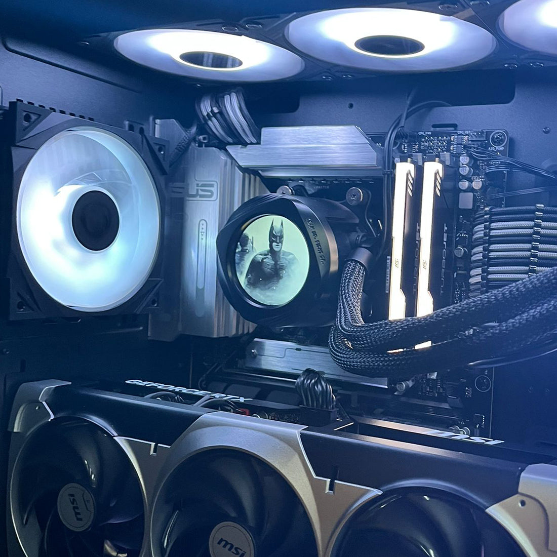 الأسود Kraken Build | كmebiotrblaك كraكn