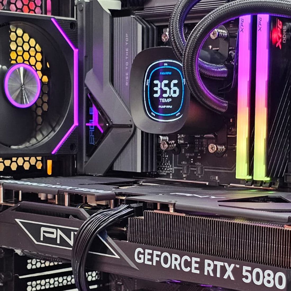 بناء الأسود ember | كmebiotreblaك amber