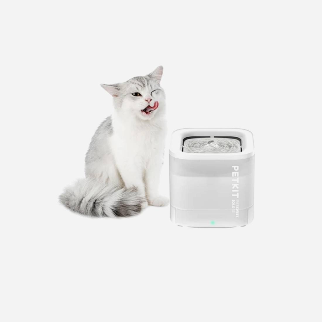 Petkit Eversweet Solo Smart Pet Fountain - White - نافورة مياه للقطط - Store 974 | ستور ٩٧٤