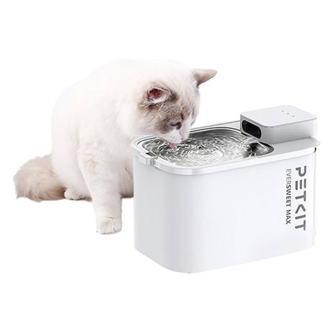 Petkit Eversweet Max Smart Pet Fountain - White - نافورة مياه للقطط - Store 974 | ستور ٩٧٤