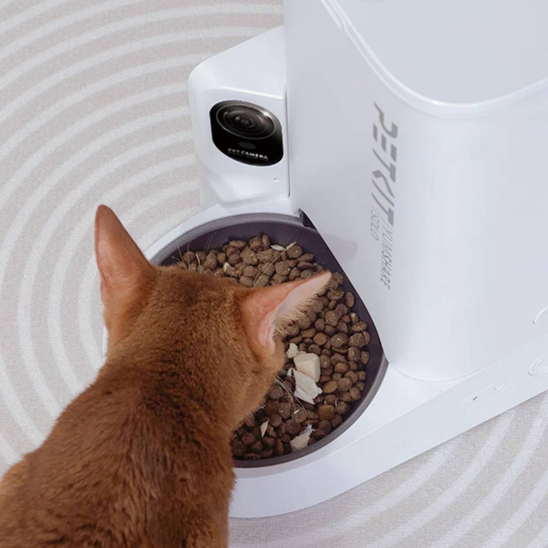 Petkit YumShare Solo with Camera - EU Smart Feeder - أكسسوارات حيوانات أليفة - Store 974 | ستور ٩٧٤