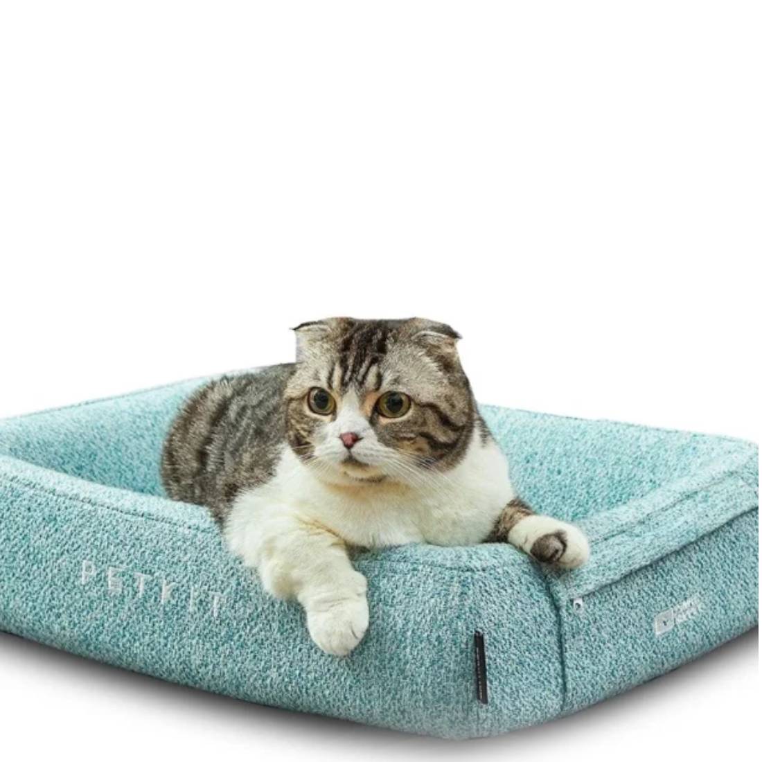 Petkit Four Season Sleep Bed - M - أكسسوارات حيوانات أليفة - Store 974 | ستور ٩٧٤