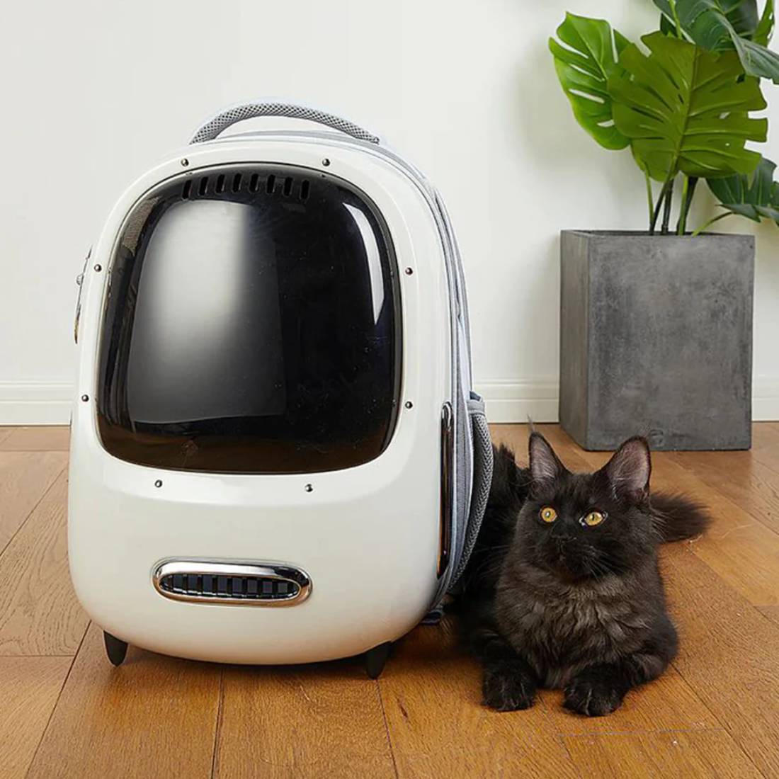 Petkit Breezy 2 Smart Cat Backpack - White - حقيبة حيوانات أليفة Petkit Breezy 2 Smart Cat Backpack - White - حقيبة حيوانات أليفة