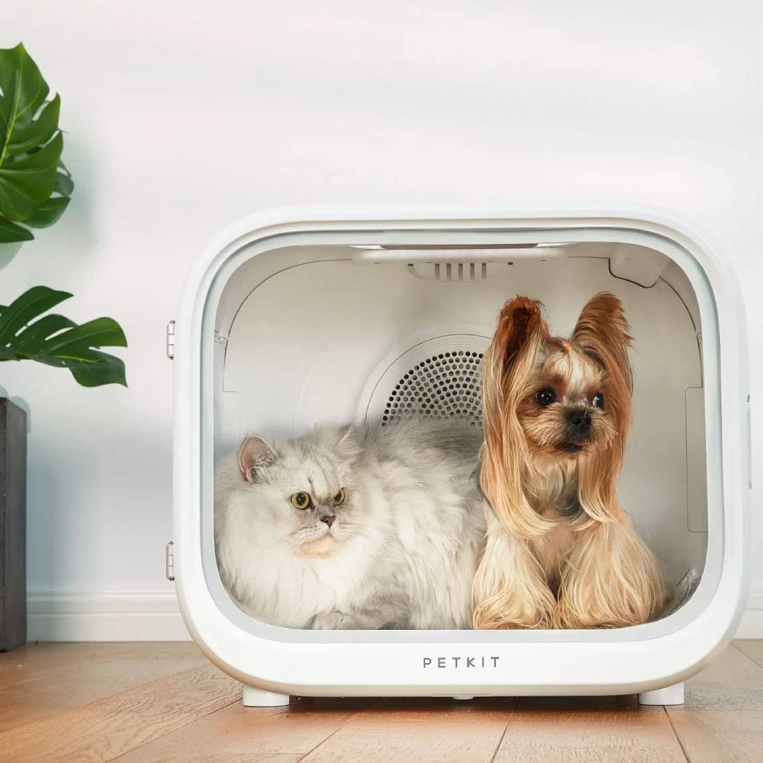 Petkit Airsalon Max Smart Pet Dryer For Cats & Dogs - مجفف حيوانات أليفة - Store 974 | ستور ٩٧٤