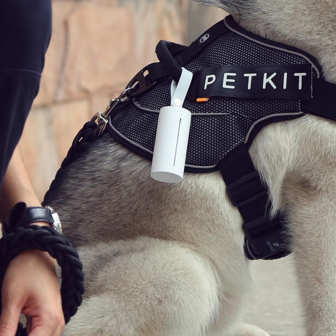 Petkit Waste Bag Dispenser for Pets - أكسسوارات حيوانات أليفة Petkit Waste Bag Dispenser for Pets - أكسسوارات حيوانات أليفة