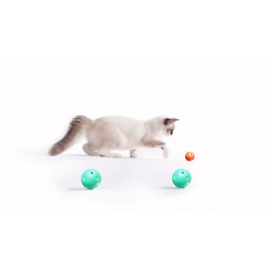 Petkit Replacement Scratching Balls - أكسسوارات حيوانات أليفة Petkit Replacement Scratching Balls - أكسسوارات حيوانات أليفة