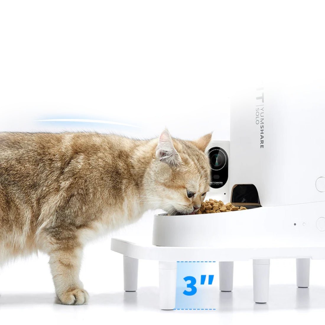 Petkit Pet Raised Stand - أكسسوارات حيوانات أليفة Petkit Pet Raised Stand - أكسسوارات حيوانات أليفة