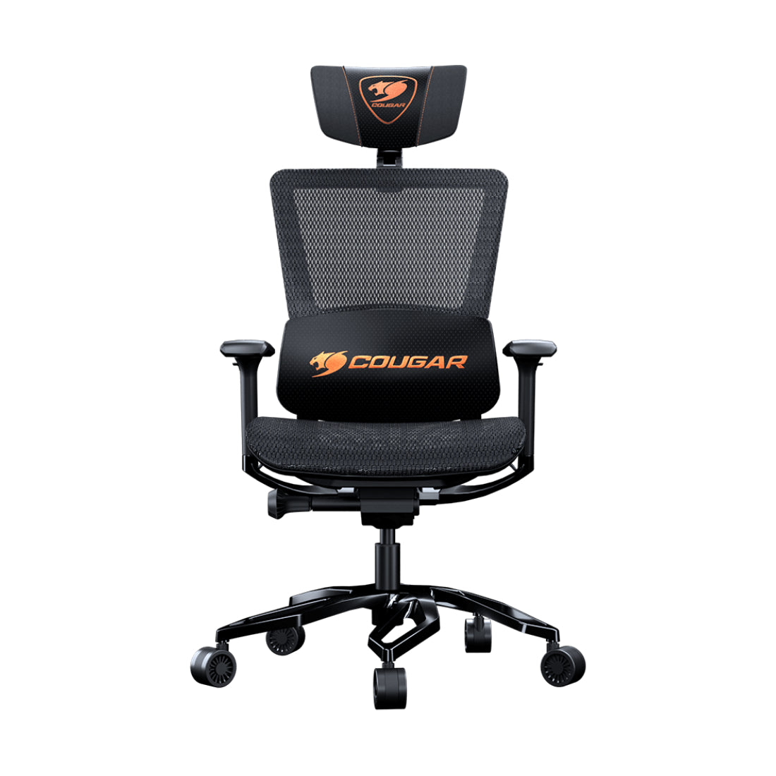 Cougar Argo Ergonomics Gaming Chair - Black - كرسي - Store 974 Electronics WLL  | ستور٩٧٤ للالكترونيات ذ.م.م