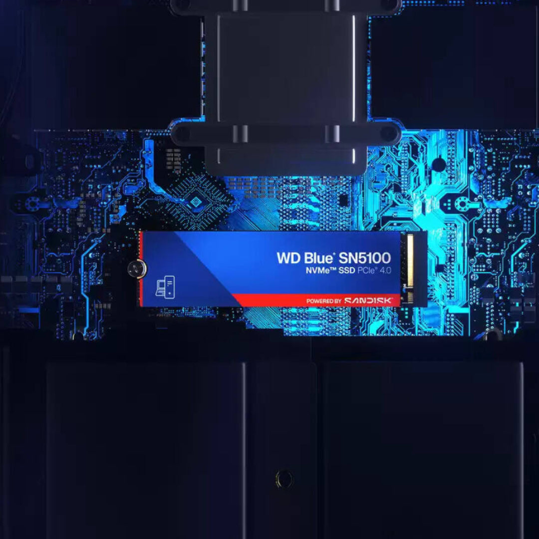 SanDisk WD Blue SN5100 NVMe™ SSD - 500GB - مساحة تخزين SanDisk WD Blue SN5100 NVMe™ SSD - 500GB - مساحة تخزين