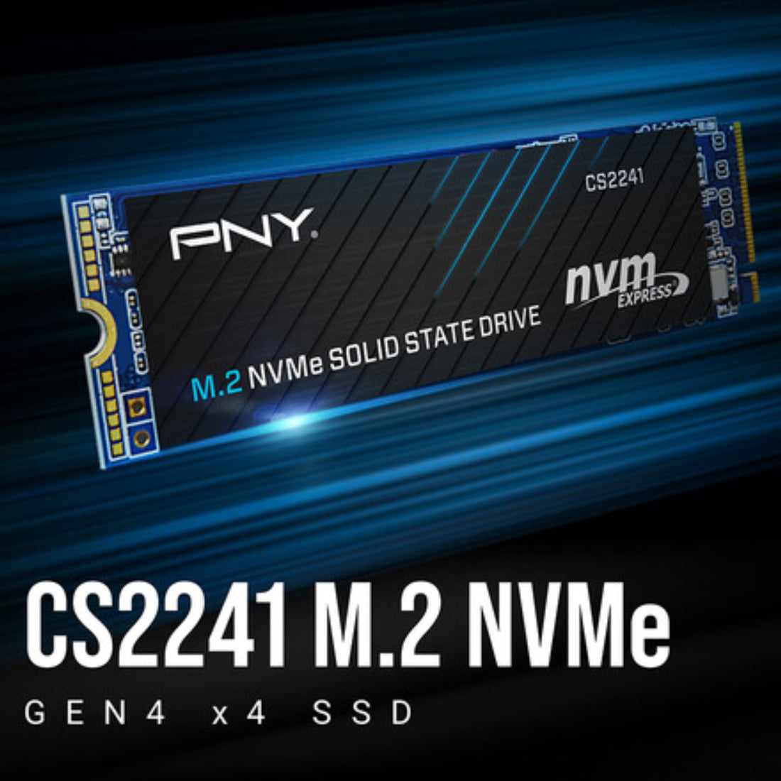 PNY CS2241 1TB M.2 2280 NVMe Gen 4×4 SSD - مساحة تخزين PNY CS2241 1TB M.2 2280 NVMe Gen 4×4 SSD - مساحة تخزين