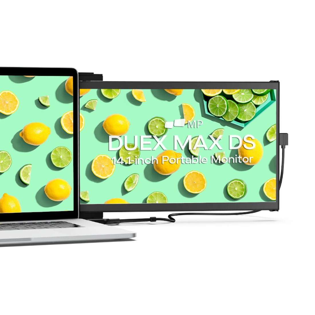 Mobile Pixels DUEX Max DS 14.1