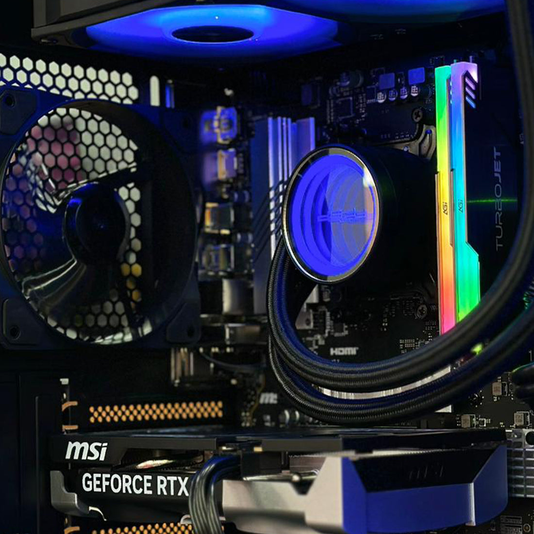 البناء الأبيض البناء | كmebioTRATR WAIAYT فYجYON