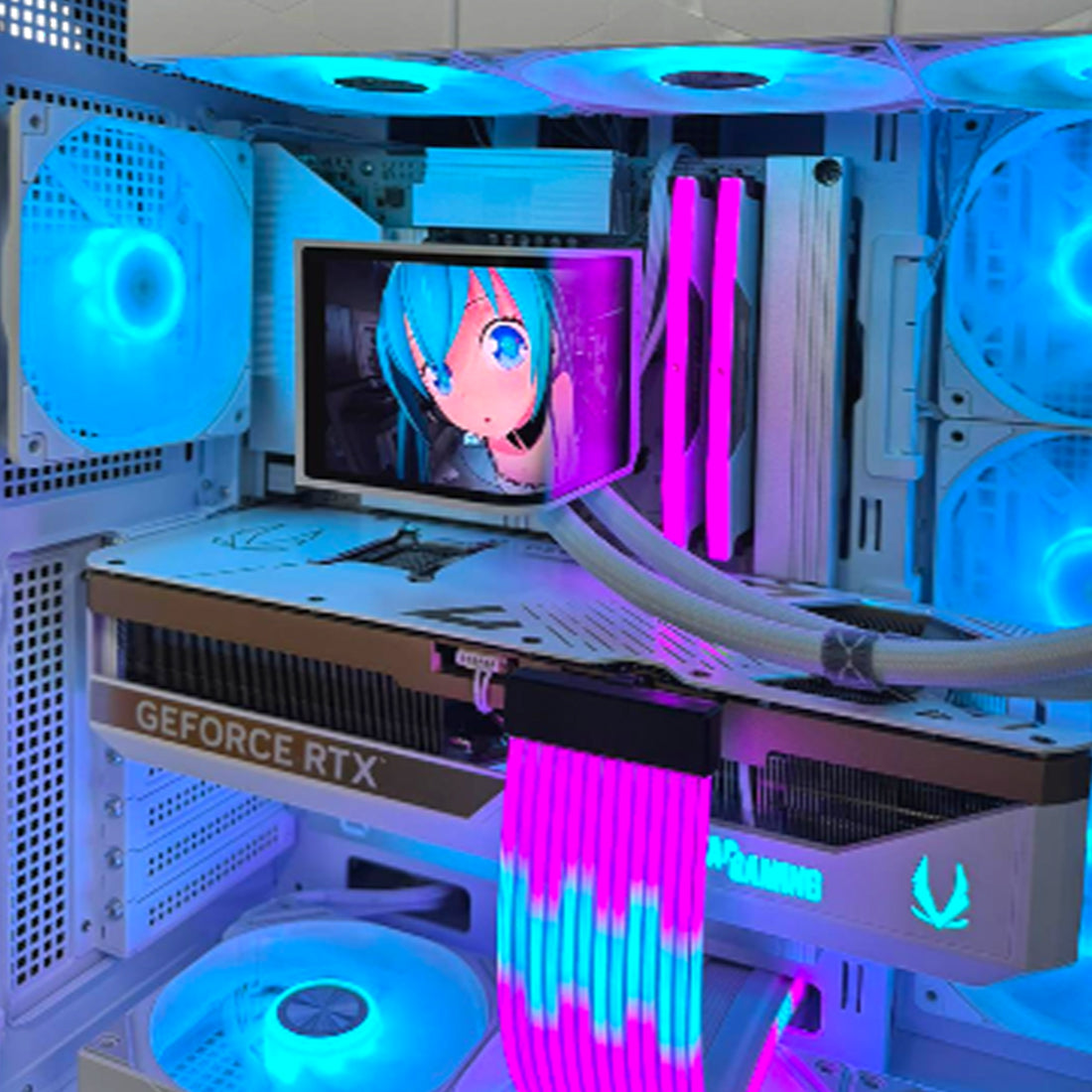 Snow White Build | كmebioTRER SNOOAIT