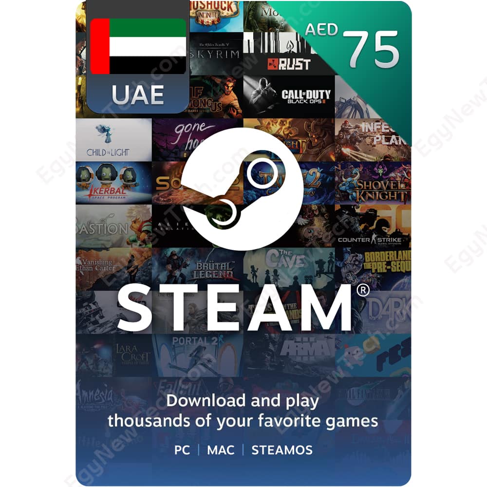 محافظ البخار الإمارات العربية المتحدة 75