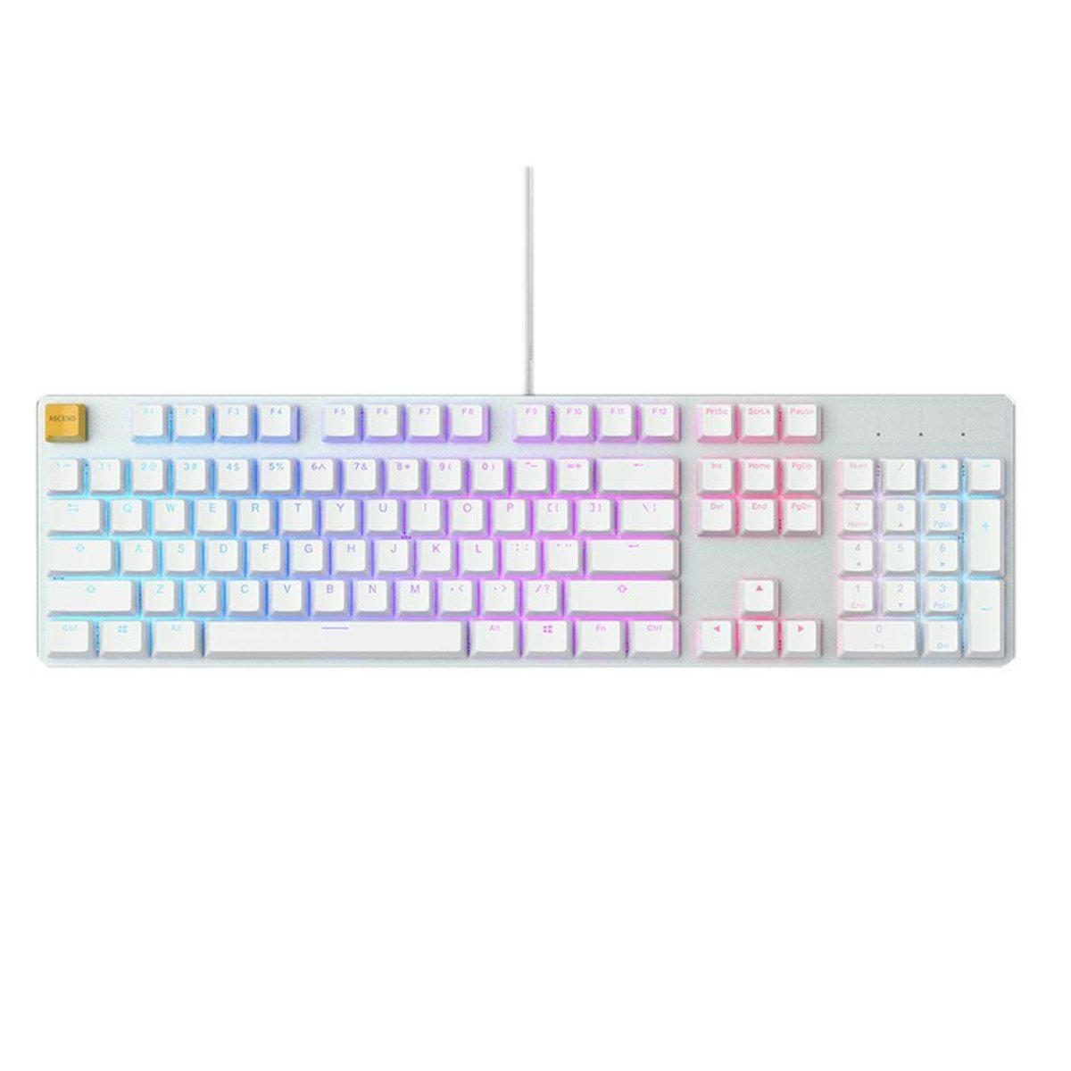 Glorious GMMK RGB Mechanical Keyboard Gateron Brown - White Ice - Store 974 | ستور ٩٧٤
