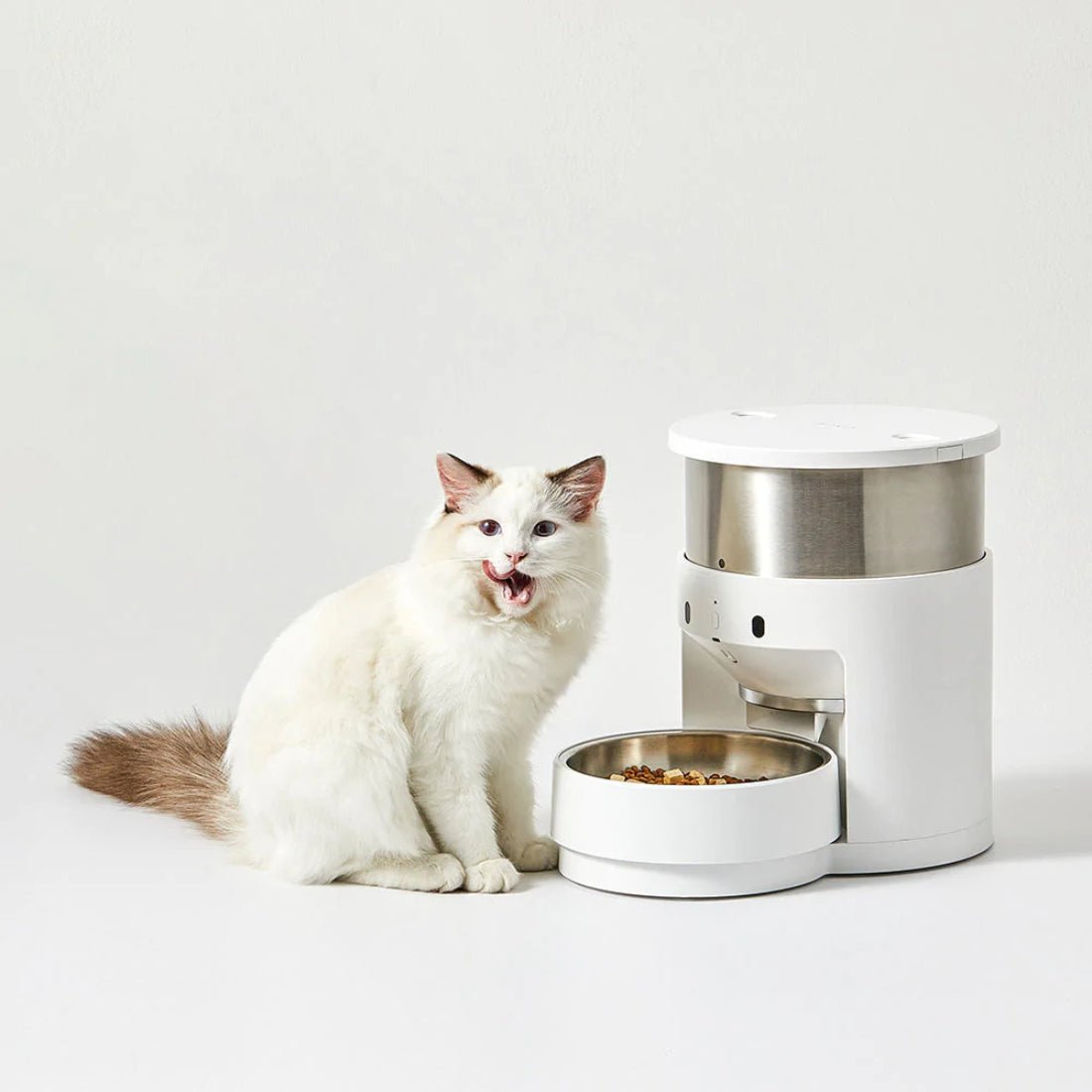 Petkit Fresh Element Gen 3 Solo Smart Feeder - أكسسوارات حيوانات أليفة Petkit Fresh Element Gen 3 Solo Smart Feeder - أكسسوارات حيوانات أليفة