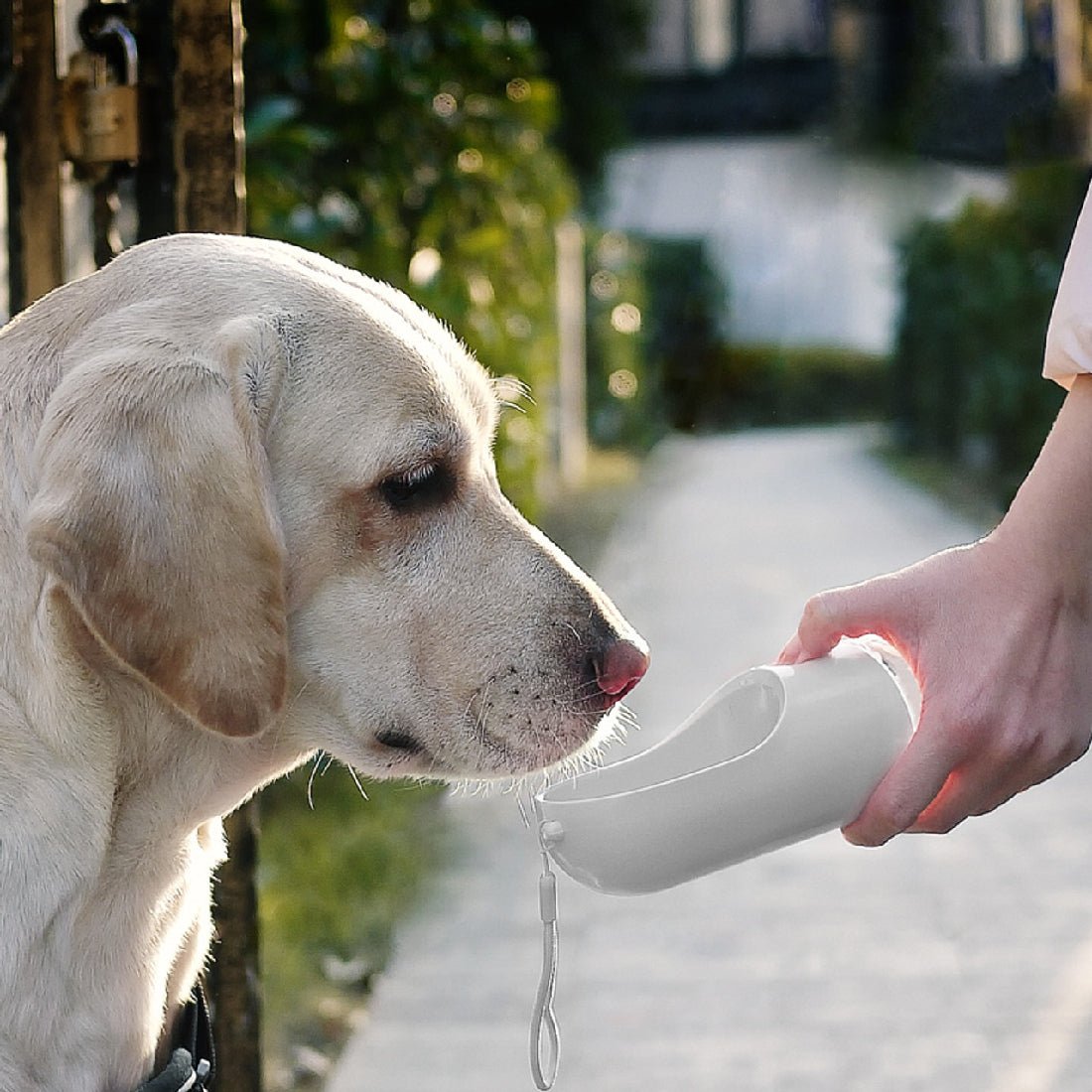 Petkit Eversweet Pet Travel Water Bottle 400ml - White - أكسسوارات حيوانات أليفة - Store 974 | ستور ٩٧٤
