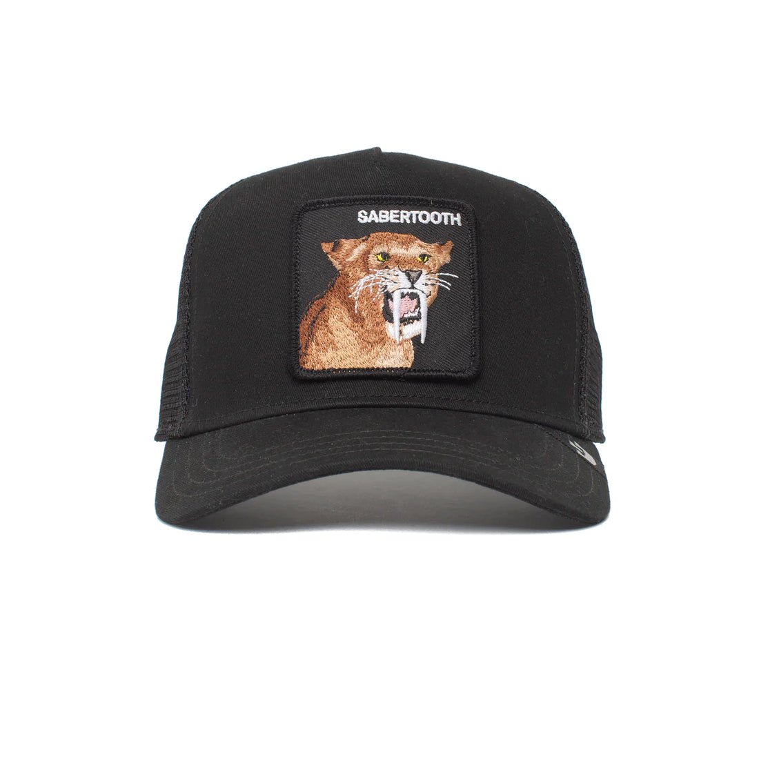 Queue Caps The Sabertooth Tiger Cap - Black - قبعة - Store 974 | ستور ٩٧٤