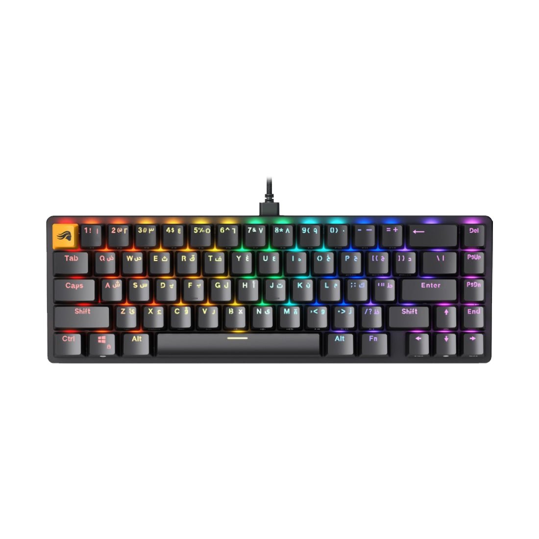 Glorious GMMK2 RGB Mechanical 65% ANSI Wired Keyboard (Arabic) - Black - لوحة مفاتيح - Store 974 | ستور ٩٧٤
