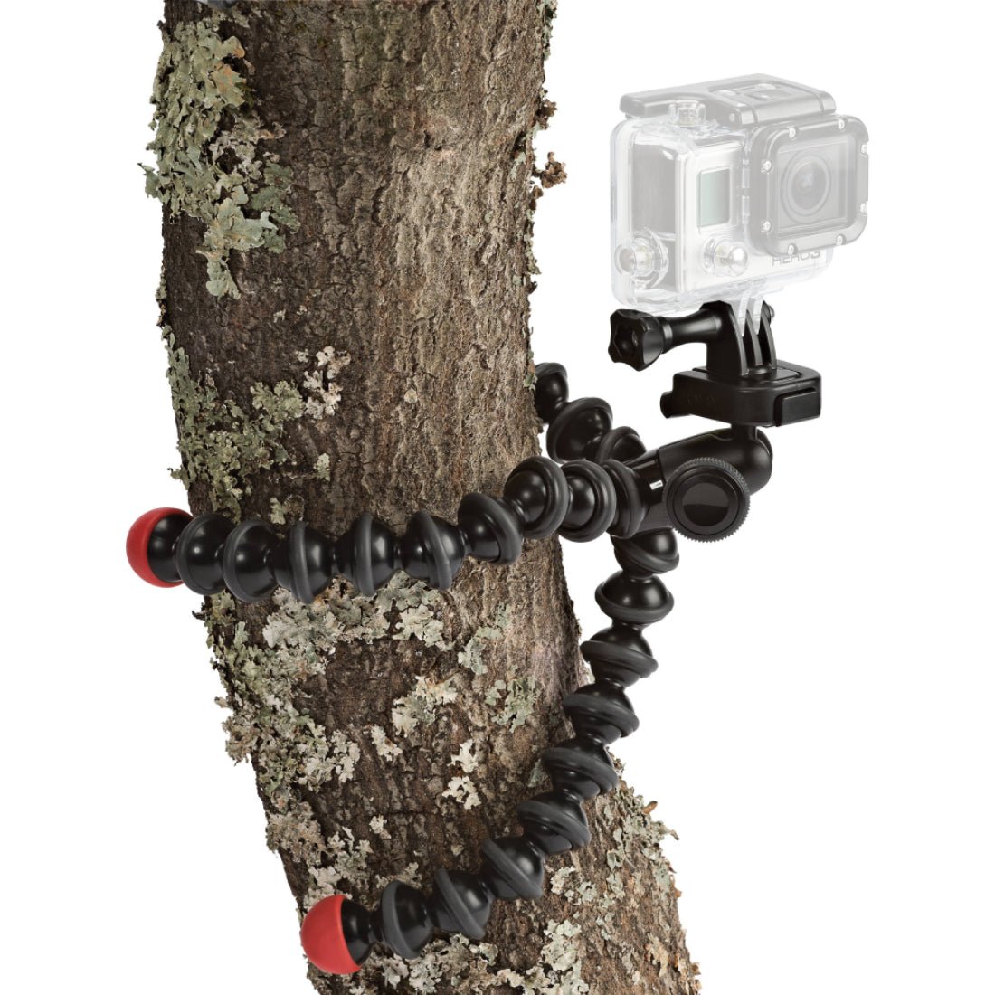 TRUPOD JOBY Gorillapod مع جوبو جوبرو - حaaml ثlaثy alقoaئm TRUPOD JOBY Gorillapod مع جوبو جوبرو - حaaml ثlaثy alقoaئm
