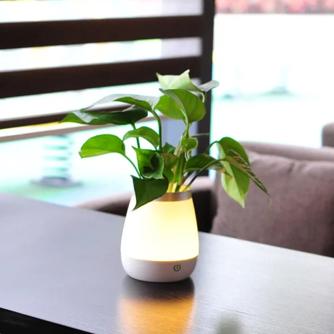 Plant Pot Lamp - إضاءة - Store 974 | ستور ٩٧٤