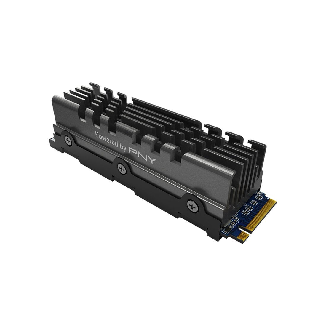 PNY CS3140 1TB NVMe Internal SSD with Heatsink - مساحة تخزين - Store 974 | ستور ٩٧٤