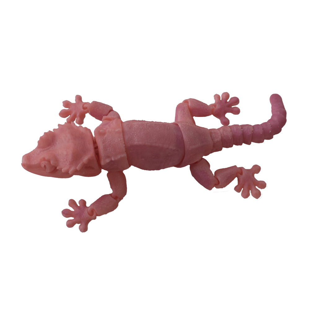 3D Station 3D Printed Lizard - Pink - مجسم ثلاثي الأبعاد - Store 974 | ستور ٩٧٤